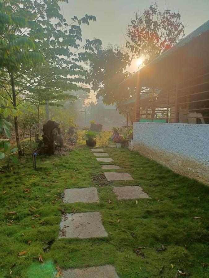 Farm stay Osaree Agro And Art Hub *