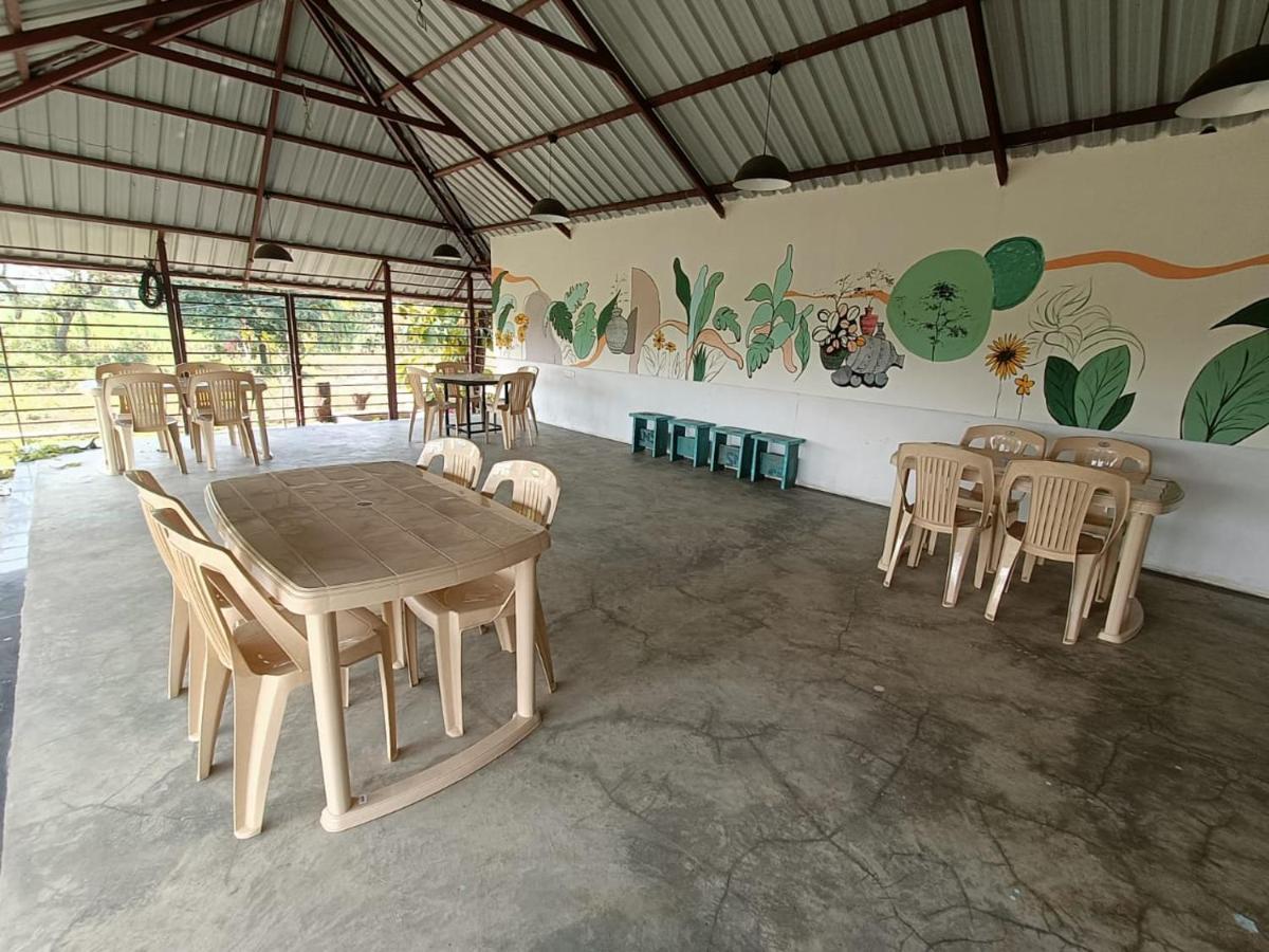 Osaree Agro And Art Hub Kolhapur