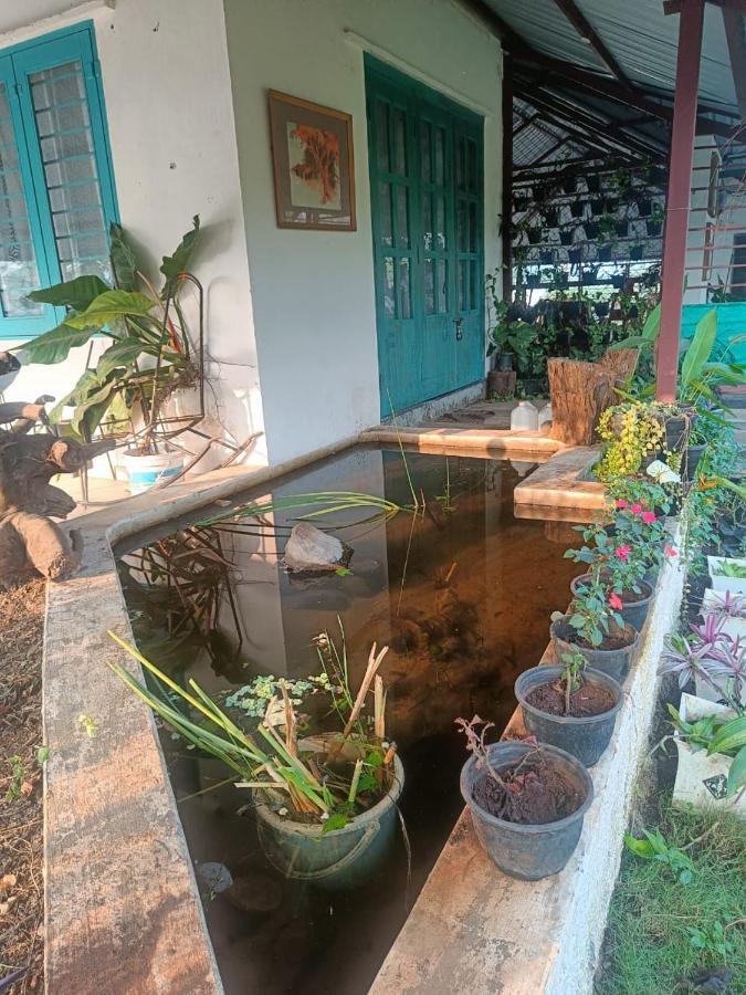 Farm stay Osaree Agro And Art Hub