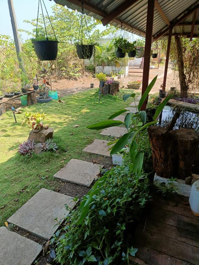 Osaree Agro And Art Hub Farm stay *