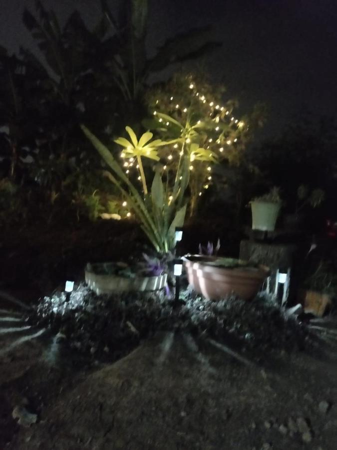 Osaree Agro And Art Hub * Kolhapur