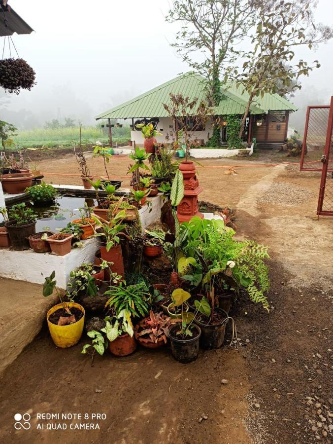 Osaree Agro And Art Hub
