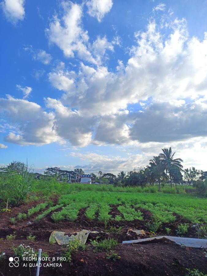 Farm stay Osaree Agro And Art Hub