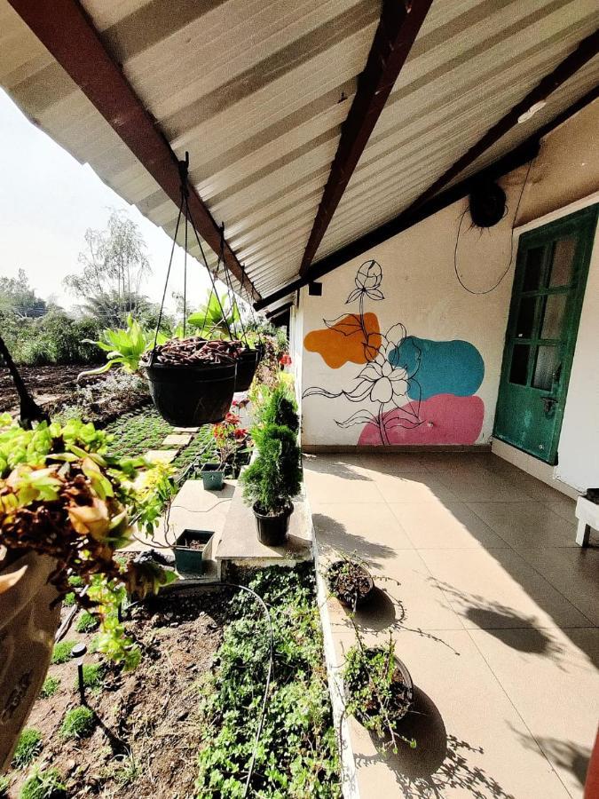 Osaree Agro And Art Hub
