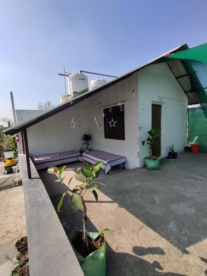 Osaree Agro And Art Hub *