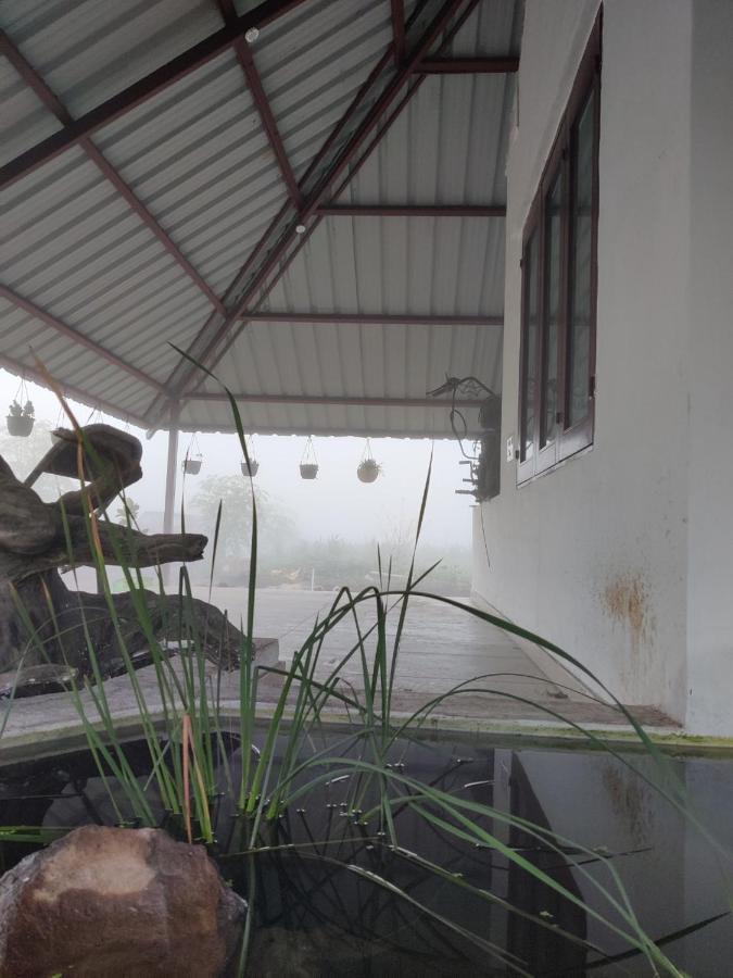 Farm stay Osaree Agro And Art Hub Kolhapur